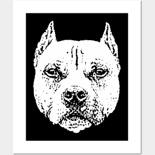 Pit Bull Posters and Art